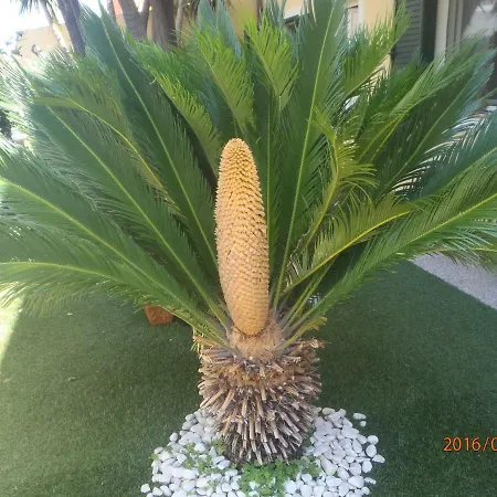 Apartment Relax In Costa Smeralda